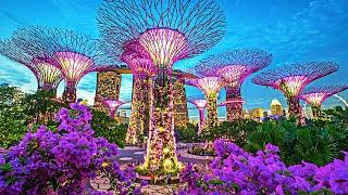 Singapore - The Most Expensive City In The World