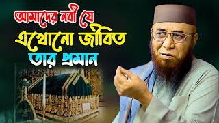 আমাদের নবী যে এখনো জীবিত তার প্রমাণ 2024 || Nazrul islam kasemi waz || মুফতি নজরুল ইসলাম কাসেমী WAZ