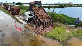 Nicely STARTING Project!! Rebuild Old Road So Quickly Working by Dozer and 5T Dump Truck Overloading