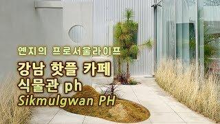 [복합문화공간 강남 카페] 식물관PH Sikmulgwan PH / Seoul cafe