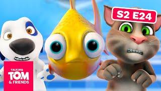 Talking Tom & Friends - Fishy Business | Season 2 Episode 24