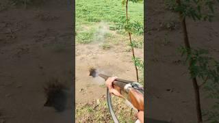 12 bore ammunition power #cartridge #shortvideo #rifleshooting #shotgunfire