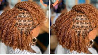 NATURAL HAIR TWIST STYLES | TWIST HAIRSTYLE FOR NATURAL | MINI TWISTS #braids #hairstyle#twist