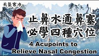 超神奇通鼻塞止鼻水4個穴位！｜Amazing 4 acupoints to Relieve Nasal Congestion and Stop Nasal Discharge