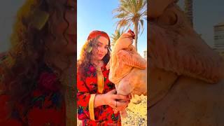 High Alert in Dubai on Chiken! #youtubeshorts #shortsfeed #ytshorts