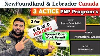 #newfoundlandandlabrador Oct,2024 || 3 Easy PNP Programs in  ਪੰਜਾਬੀ ਵਿੱਚ #canada #permanentresidency