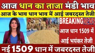 आज धान के भाव में आई जबरदस्त तेजी । धान के ताजा मंडी भाव । dhaan Mandi Bhav today । धान का भाव