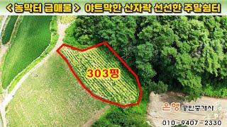 [제천토지 1,002㎡ // 1천6백만원]  소액의 5도2촌지, 야산을 접한 주말농장 겸 농막주택지! 청풍호 10km 거리...