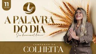 A PALAVRA DO DIA - Campanha da Colheita | 11 OUT 2024 | @VirginiaArruda