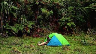 Solo Hike and Wild Camp in New Zealand Bush - Rain and Pancakes!