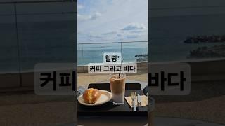 힐링 하는 바다뷰° 카페 커피&에그마요소금빵