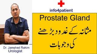 Prostate Gland Kiw Bhartia Hai  مثانہ کے غدود بڑھنے کی وجوہات