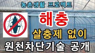 [57] 비닐하우스 해충 원천 차단 / 방충망 설치하기 / 농촌생활 / 영농할동 / 전원생활 / 귀농 / 귀촌