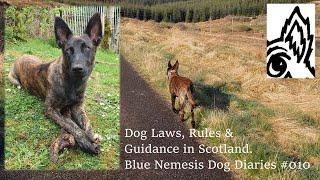 Dog Laws, Rules & Guidance in Scotland. Blue Nemesis Dog Diaries #010