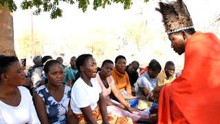 Shumba yengozi Nezvikwambo Chabvondoka pachipinge