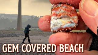 Beach Covered in Gemstones! Beachcombing on a Northern English Coast!