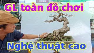 GL nhiều cây cảnh bonsai nghệ thuật độc đáo. Mr.Du : 0982703398