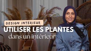 Mes conseils pour des Plantes d'intérieur - Design Intérieur