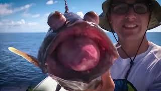 14 Shocking Fishing Moments Caught On Camera!