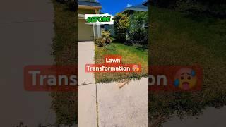 lawn Transformation!!!#lawn #lawncare #beforeandafter #lawncarelife #lawncarecommunity