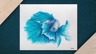 How I made this illustration |  BETTA FISH #drawingtutorial #bettafiss