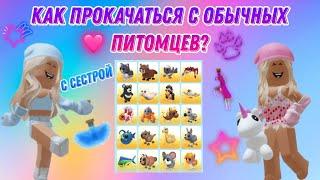 Как прокачаться с обычных питомцев?  #adoptme #роблокс #адоптми #игры #roblox #прокачка