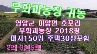 매물번호(1840)영암군 미암면 호포리 무화과 농장 2018평 중 대지150평 주택 30평 무화과 2천주식재 하우스있음 매2억6천5백 국민부동산tv  010-5878-2040