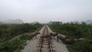 Train Driver record SE5 Ninh Binh - Vinh (2017)