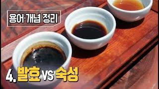 최낙언TV_용어·개념정리_4. 발효와 숙성