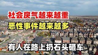 有人在路上扔石头砸车，社会戾气越来越重，不要随便得罪人，恶性事件越来越多？警察完全抓不到凶手，谁在报复社会？为什么我老是说加拿大不好？加拿大有哪些好的方面？