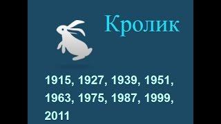 Год кота, кролика, гороскоп составленный психологом Натальей Кучеренко.