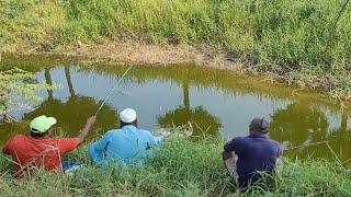 Small Single Hook fishing in Village Pond and Catching 2 type fish(baam & tilapia)by Fishermen