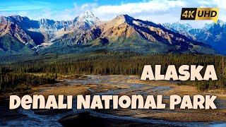 Denali National Park: Stunning Wilderness Trip in Alaska's Iconic Landscape