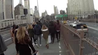 Bike Lane Hero. New Years Day.