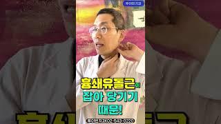 일자목, 거북목 고치기 어려운 이유‍️목빗근(흉쇄유돌근), 상부 승모근 경직 I #루이빈치과 류지헌 원장