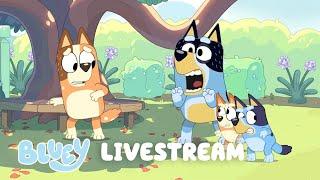 LIVE: Family Bonus Bits! | Bluey