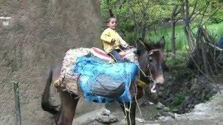 Marocco   Trekking Toubkal