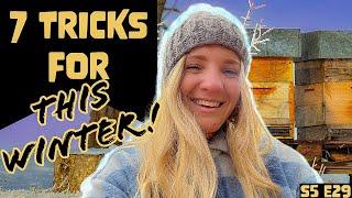 DON'T Let These Winter Beekeeping Mistakes Kill Your Hives! / Beekeeping 101 #beekeeping