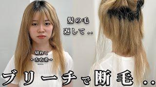 【大絶望】ブリーチで断毛した髪へのヘアケアの極意！ロングヘア→涙の刈り上げショートに..？！