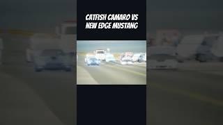 Catfish Camaro vs New Edge Mustang Street Racing