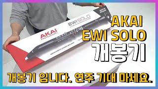 AKAI EWI SOLO 개봉기 (헛소리 작렬 ㅎㅎ)