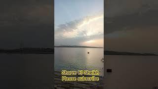 Morning in Sharm @LifeJoyAdventureVlogs