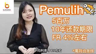 SME LOAN PGGS - 政府担保的银行商业贷款