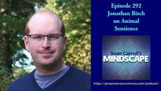 Mindscape 292 | Jonathan Birch on Animal Sentience