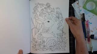 Flip through of Nature's Sweetness coloring book