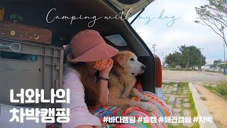 eng) 차박캠핑 막걸리 한잔과 파도소리솔로캠핑‍️애견동반  디디캠핑Camping in my car with my dog at the beach