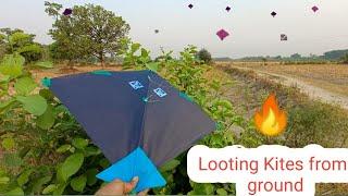 Looting Kites from ground | Patang lootere 