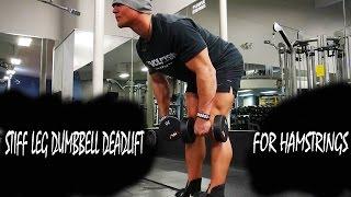 Stiff Leg Hamstring Deadlift With Dumbbells