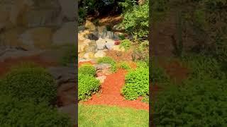 Need some place to unwind? #garden #waterfall #backyard