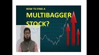 How To Find Multibagger Stock?